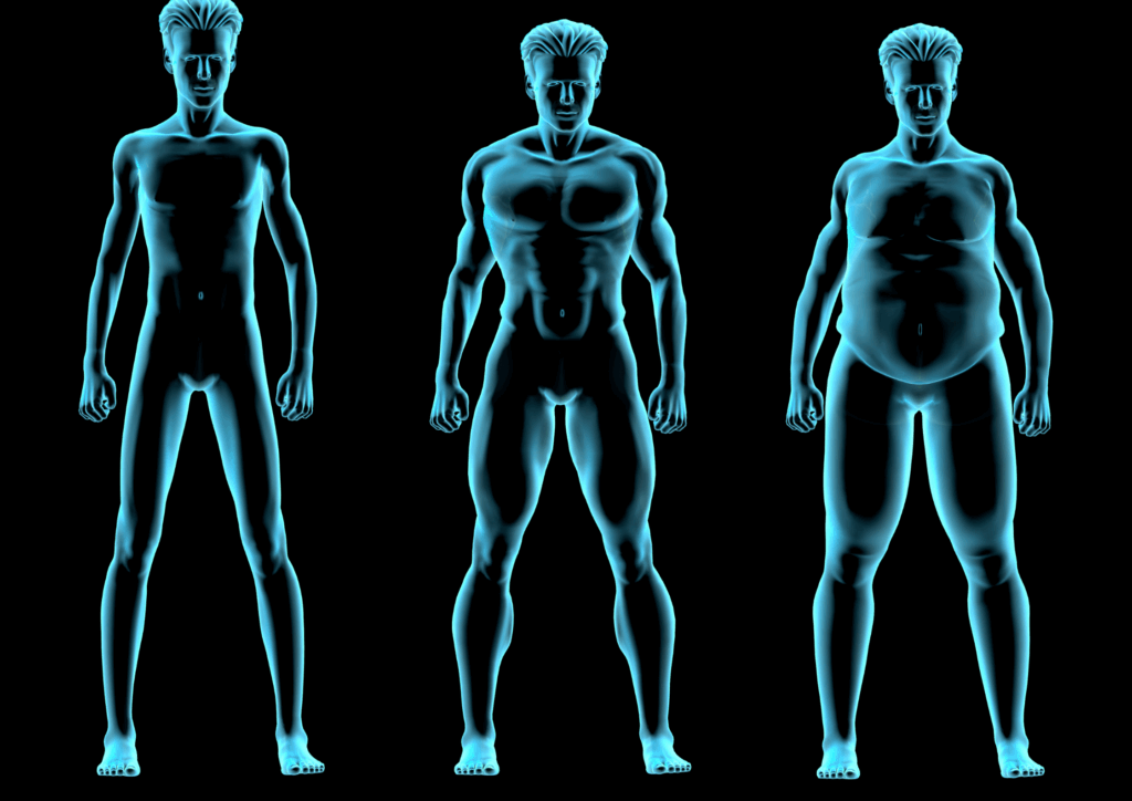 Body shape calculator